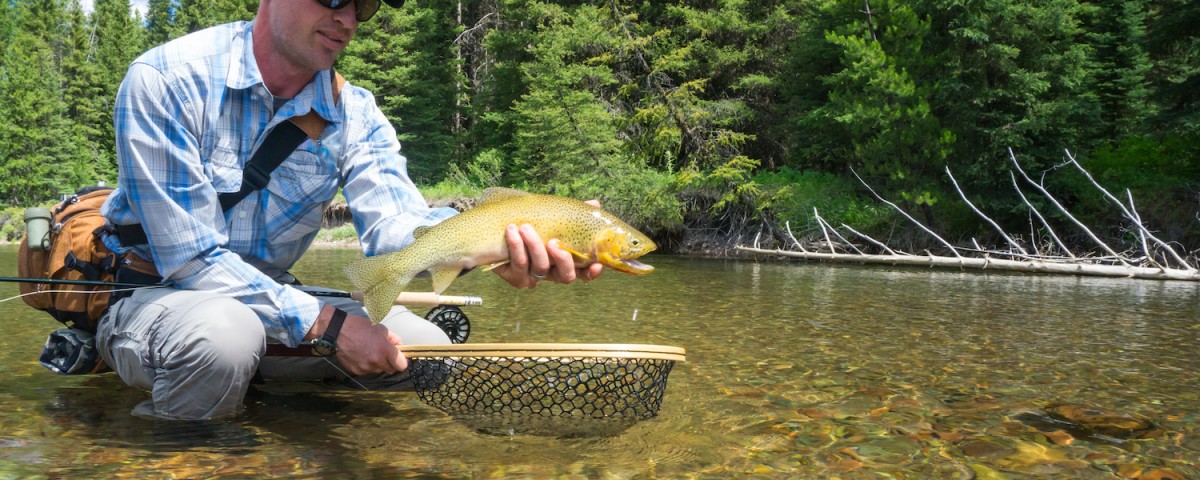 Colorad Backcountry Hunters and Anglers