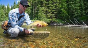 Colorad Backcountry Hunters and Anglers