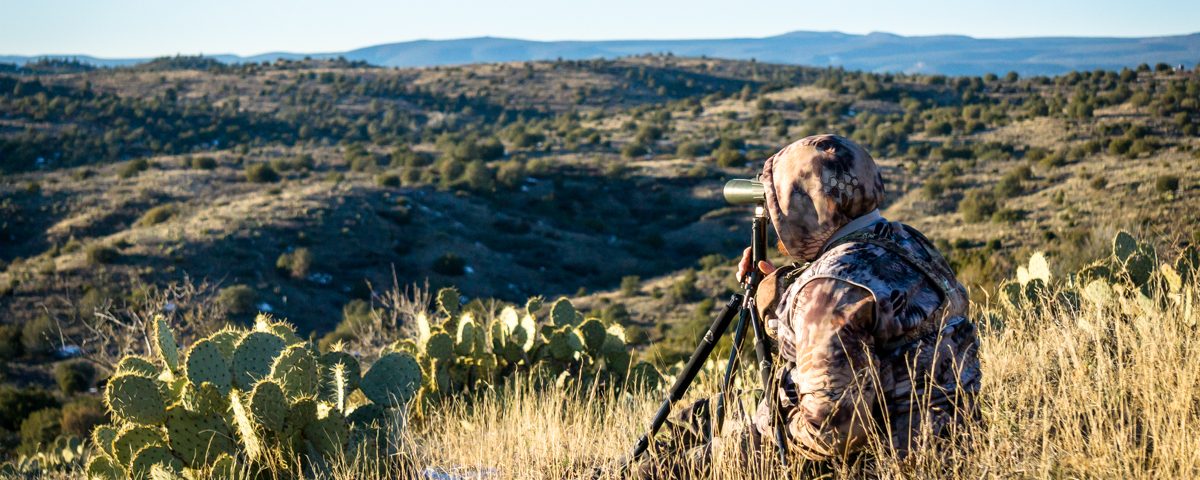 Guided Hunting in Arizona