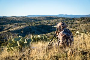 Guided Hunting in Arizona