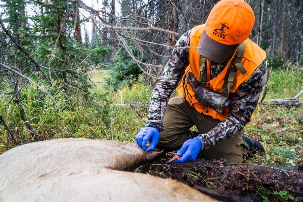 Hunting with Caribou Gear